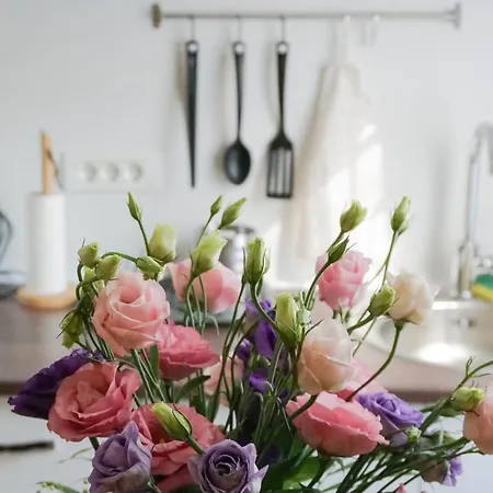 7 Min From Center - Stecop 3 -central-unique-qb Apartament